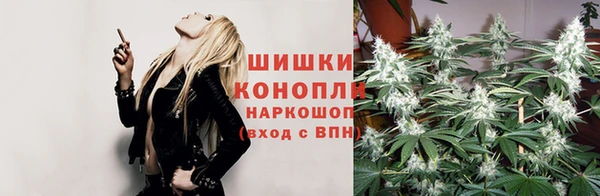прущая мука Няндома