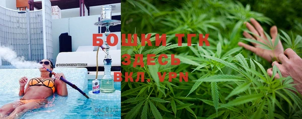 прущая мука Няндома