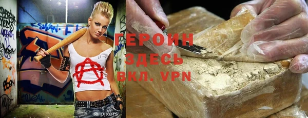 индика Осташков