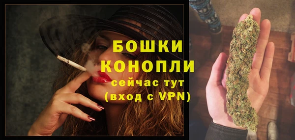 прущая мука Няндома