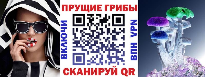 Псилоцибиновые грибы Psilocybine cubensis  Агидель 